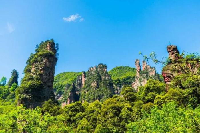 张家界武陵源景区游玩攻略 附游玩路线