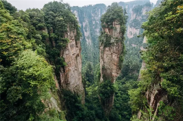 到张家界和凤凰古城旅行请商务伴游多少钱，张家界该怎么玩？