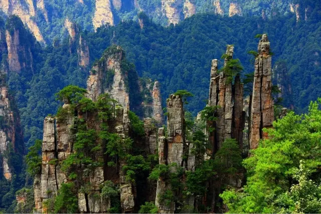 到张家界和凤凰古城旅行请商务伴游多少钱，张家界该怎么玩？
