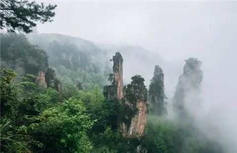 到张家界和凤凰古城旅行请商务伴游多少钱，张家界该怎么玩？