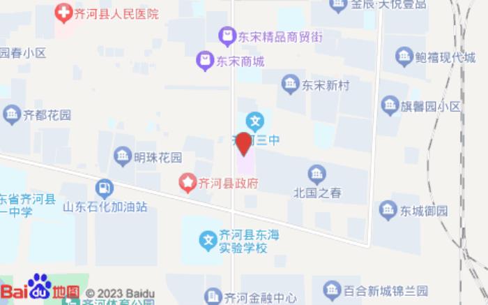 睿柏云酒店(齐河迎宾路银座广场店)