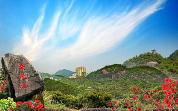 紫莲森林度假村