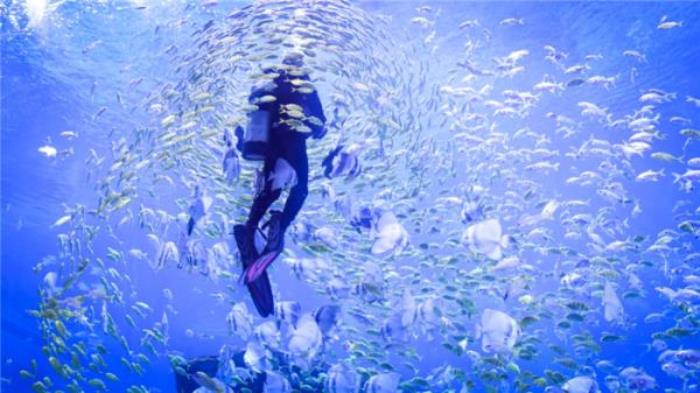 重庆融创海世界