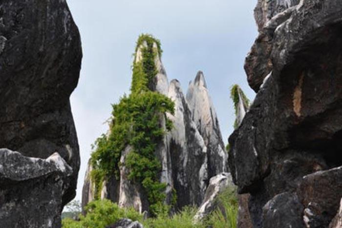 玉石林风景区