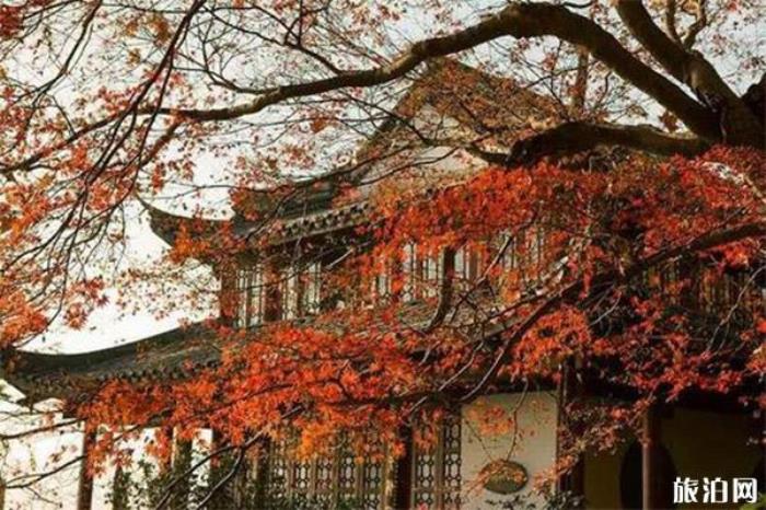 广安华蓥山水杉山庄