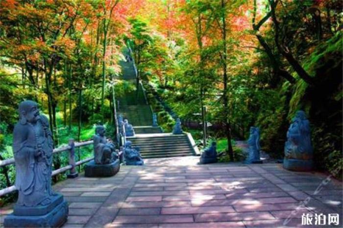 四川老峨山风景区