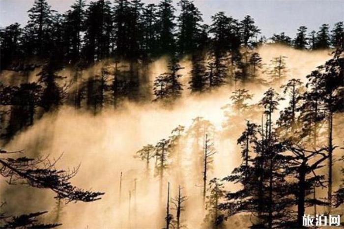 洪雅瓦屋山森林公园