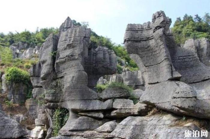 兴文石菊古地景区