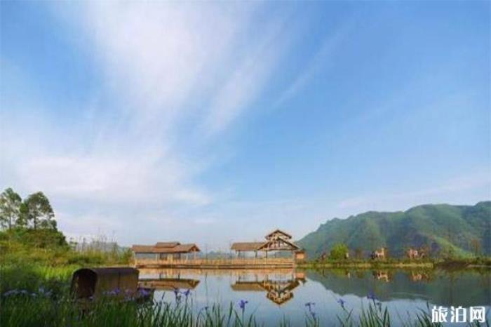 兴文石菊古地景区