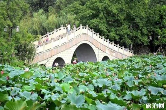 宜宾天池公园