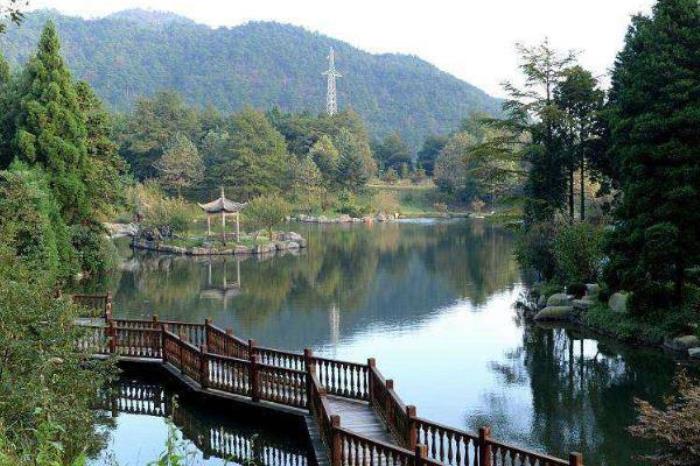 金钟山森林公园