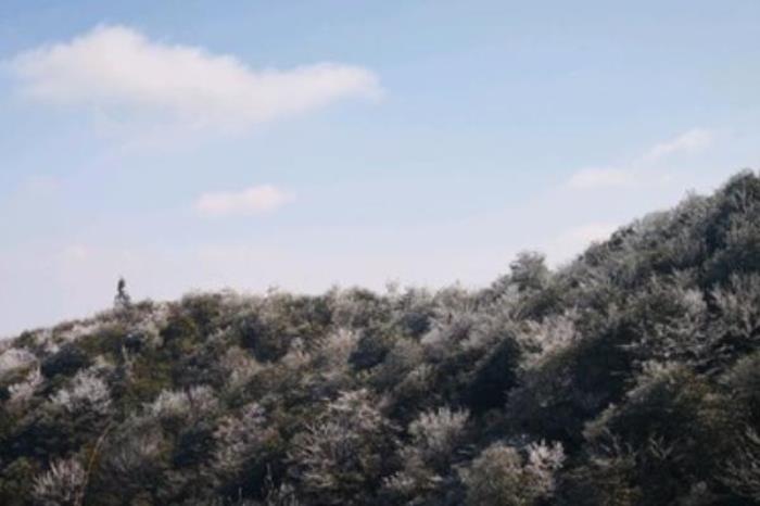 牙梳山自然保护区