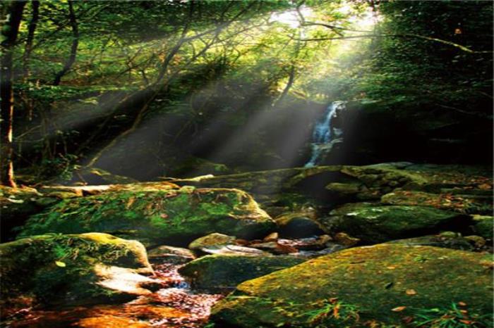 广东罗浮山景区