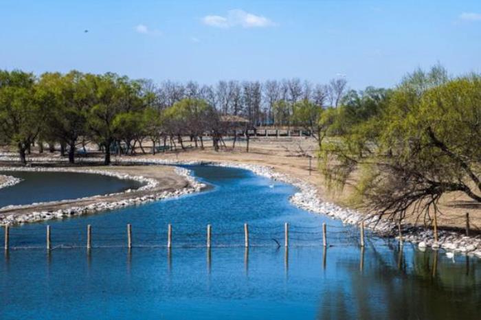 2022北京南海子公园游玩攻略 2022北京南海子公园游玩攻略