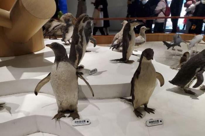 青岛海底世界值得去吗 有什么好玩的 青岛海底世界值得去吗 有什么好玩的