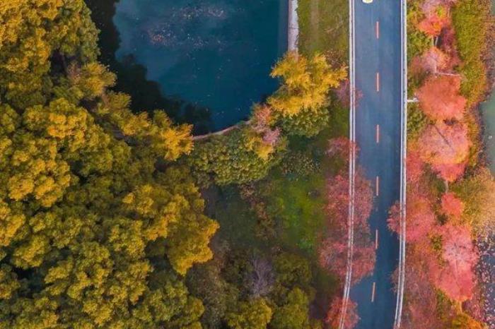东湖旅游生态风景区属于哪个区?有什么好玩的? 东湖旅游生态风景区属于哪个区?有什么好玩的?