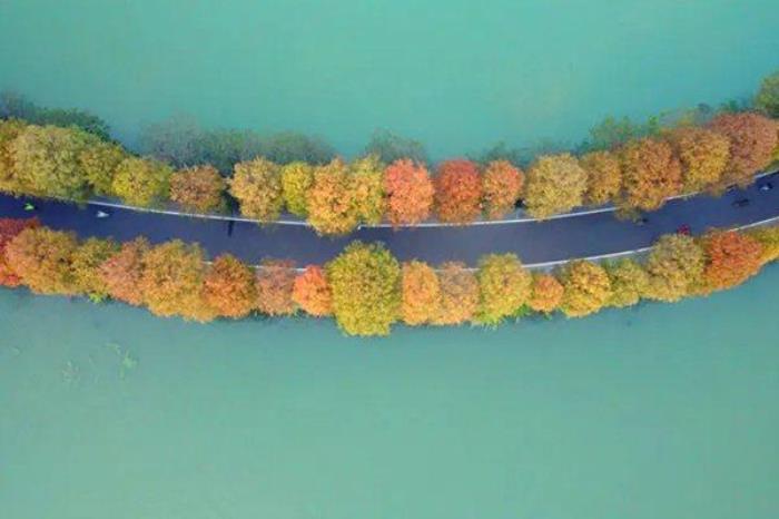 武汉东湖公园游玩攻略 这份门票、交通、住宿、路线攻略请收藏 武汉东湖公园游玩攻略 这份门票、交通、住宿、路线攻略请收藏