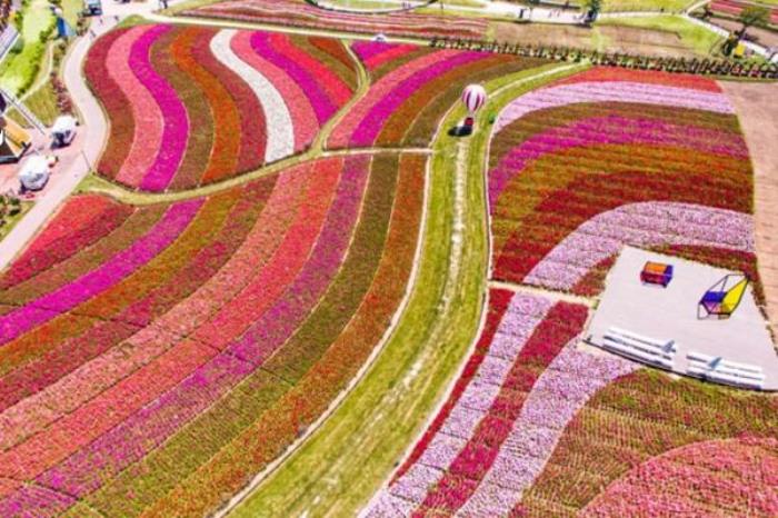 荷兰花海一日游路线推荐 荷兰花海一日游路线推荐