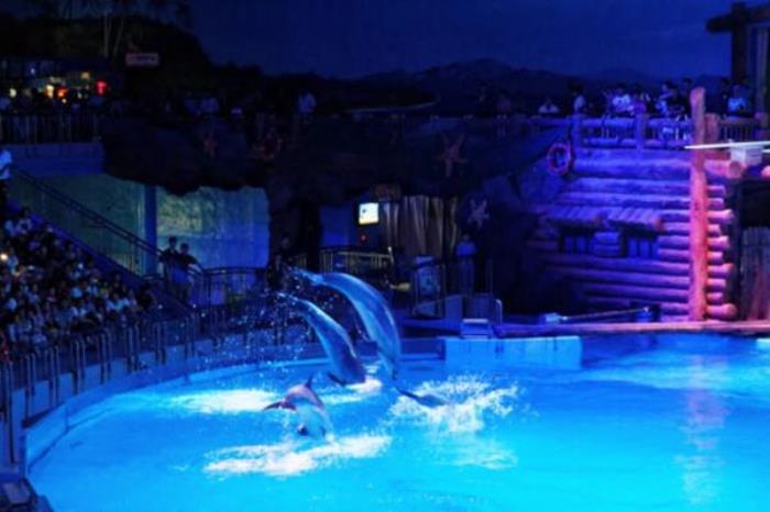 大连老虎滩一日游攻略 大连老虎滩一日游攻略