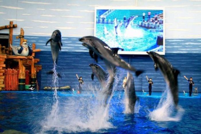 大连老虎滩一日游攻略 大连老虎滩一日游攻略