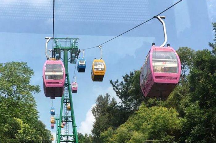 武汉东湖磨山一日游攻略 情侣、亲子、骑行等路线都有 武汉东湖磨山一日游攻略 情侣、亲子、骑行等路线都有