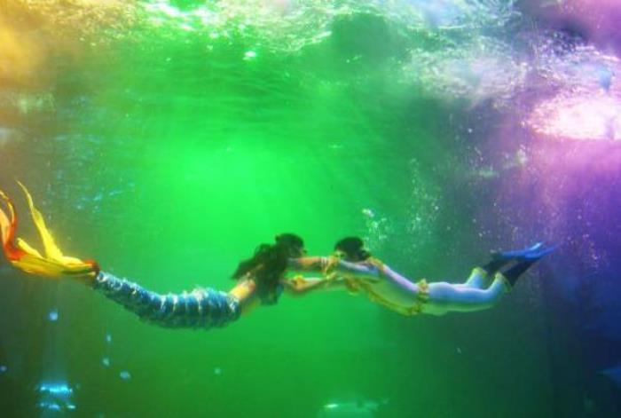 蓬莱海洋极地世界表演时间 蓬莱海洋极地世界表演时间