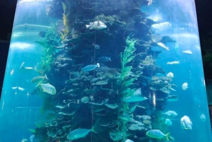 蓬莱海洋极地世界表演时间 蓬莱海洋极地世界表演时间