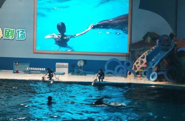 蓬莱海洋极地世界门票多少钱 蓬莱海洋极地世界门票多少钱