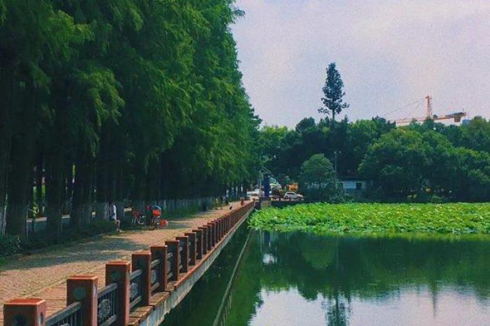 东湖绿道从哪个入口进比较好 东湖绿道从哪个入口进比较好