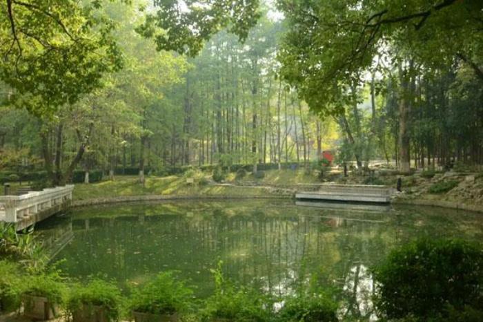 南京古林公园有什么好玩的 景点介绍一览 南京古林公园有什么好玩的 景点介绍一览