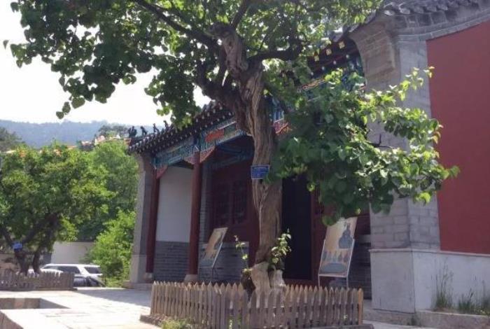 济南灵岩寺一日游攻略 济南灵岩寺一日游攻略