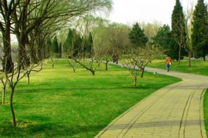 2022北京清明节踏青游玩路线推荐 2022北京清明节踏青游玩路线推荐