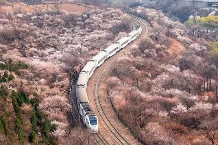 北京s2线赏花攻略2022 北京s2线赏花攻略2022