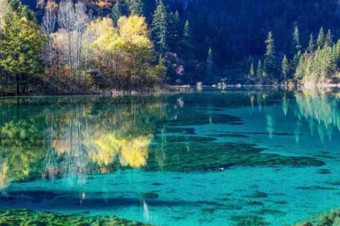 九寨沟一日游时间安排 旅游攻略 九寨沟一日游时间安排 旅游攻略