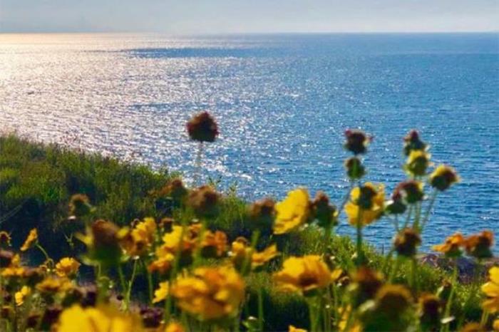 烟台养马岛旅游攻略必去景点 烟台养马岛旅游攻略必去景点