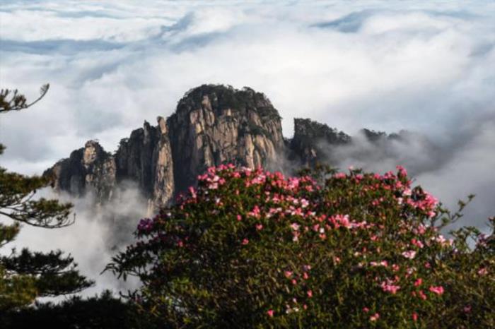 安徽黄山旅游景点攻略路线 安徽黄山旅游景点攻略路线