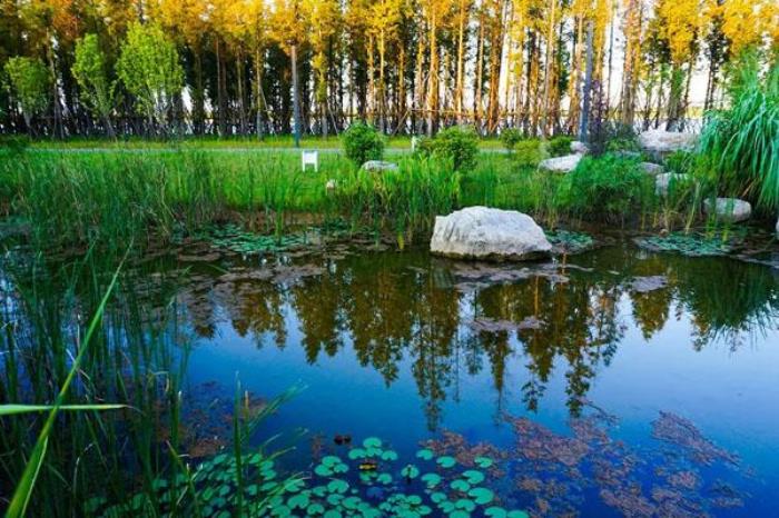 长沙巴溪洲游玩攻略 开放时间及地址 长沙巴溪洲游玩攻略 开放时间及地址