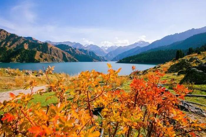 新疆天山天池旅游攻略2022 新疆天山天池旅游攻略2022