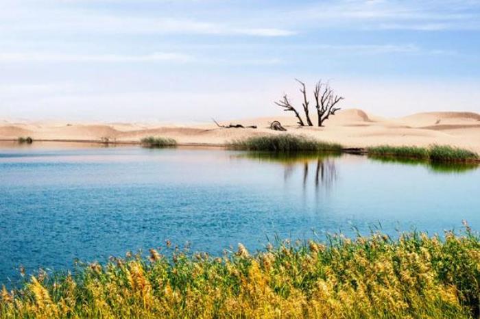 宁夏沙坡头旅游景点介绍 有哪些景点 宁夏沙坡头旅游景点介绍 有哪些景点