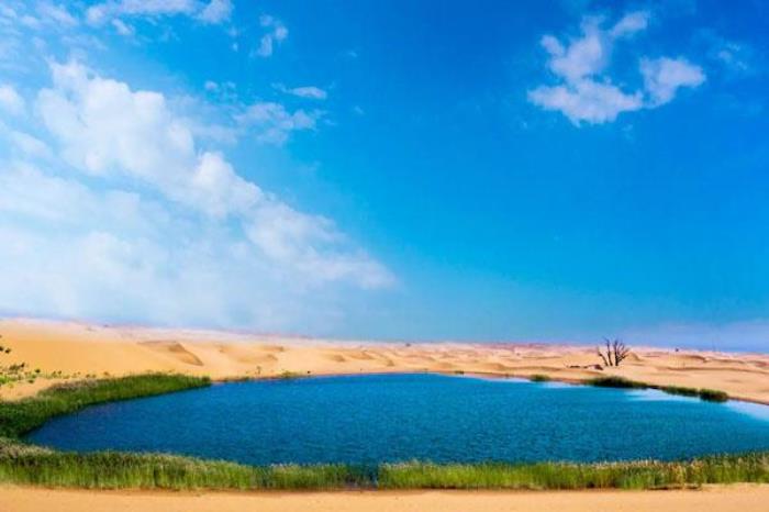 宁夏沙坡头旅游景点介绍 有哪些景点 宁夏沙坡头旅游景点介绍 有哪些景点