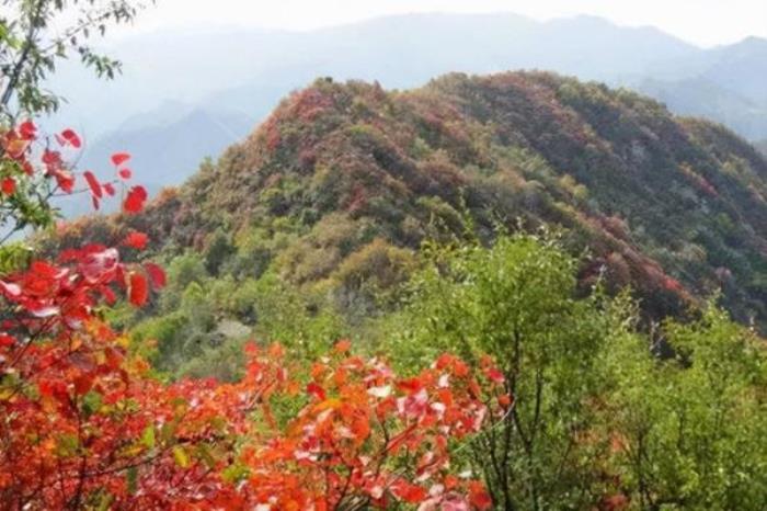 圭峰山一日游最佳路线 圭峰山一日游最佳路线