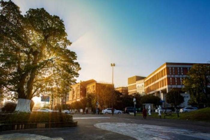 都江堰春天附近哪里好玩?这些免费踏青春游的地方值得打卡 都江堰春天附近哪里好玩?这些免费踏青春游的地方值得打卡