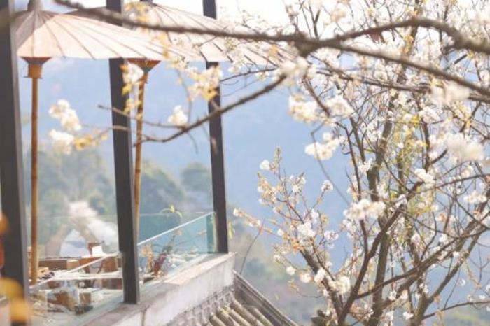 都江堰春天附近哪里好玩?这些免费踏青春游的地方值得打卡 都江堰春天附近哪里好玩?这些免费踏青春游的地方值得打卡