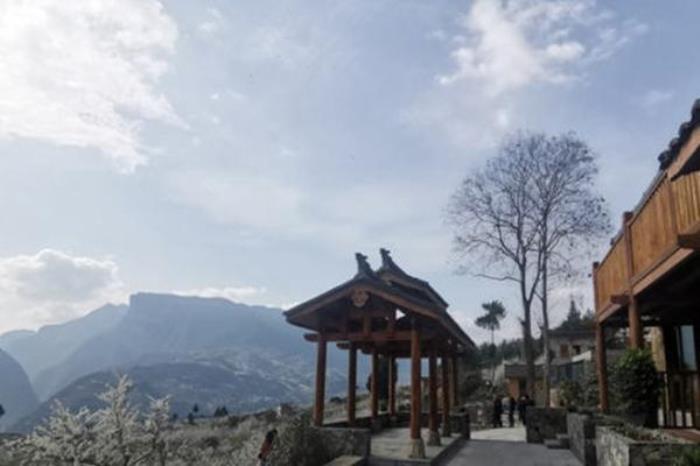 重庆巫山李花最佳观赏路线推荐 重庆巫山李花最佳观赏路线推荐