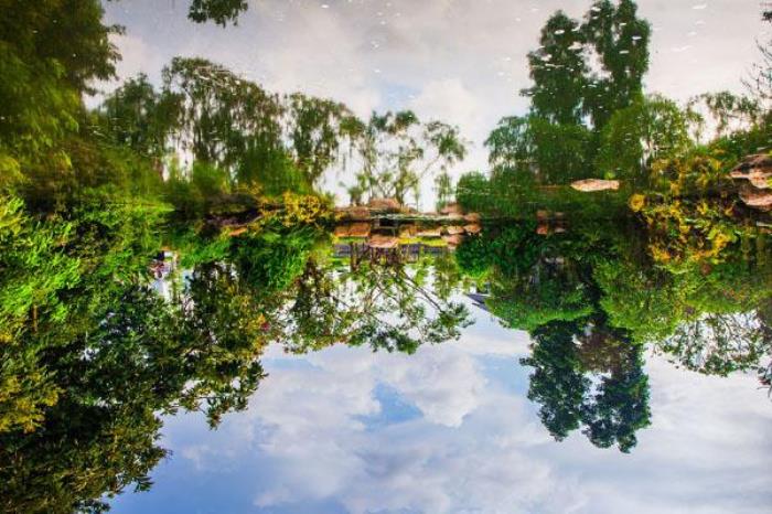 青秀山风景区旅游攻略 游玩路线推荐 青秀山风景区旅游攻略 游玩路线推荐