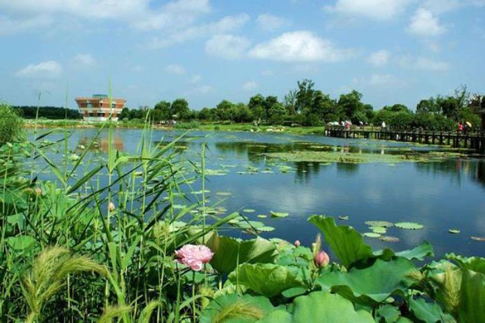 荷塘月色湿地公园什么时候去最好 荷塘月色湿地公园什么时候去最好