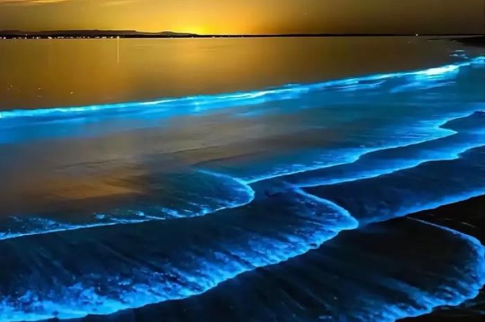 国内有哪些地方能看蓝眼泪 国内有哪些地方能看蓝眼泪