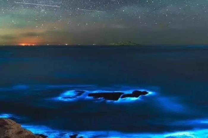 国内有哪些地方能看蓝眼泪 国内有哪些地方能看蓝眼泪