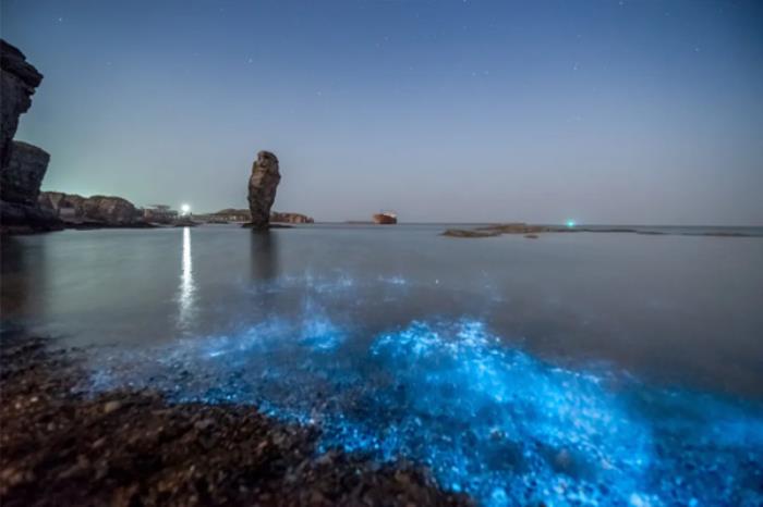 国内有哪些地方能看蓝眼泪 国内有哪些地方能看蓝眼泪