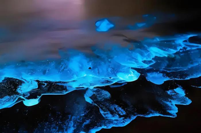 海陵岛蓝眼泪在哪个沙滩 海陵岛蓝眼泪在哪个沙滩